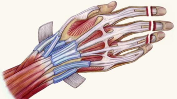 Microvascular surgery